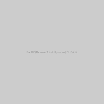 FN Test - Rat Rt3(Reverse Triiodothyronine) ELISA Kit